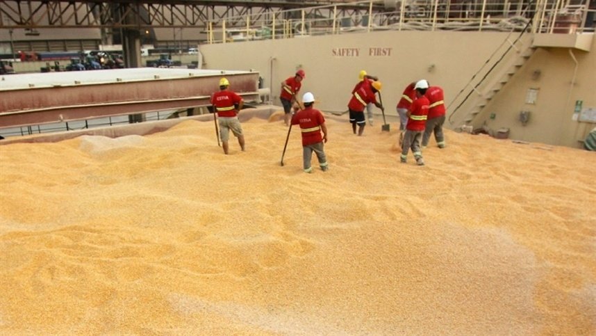 Integração produtiva ganha peso no agronegócio global