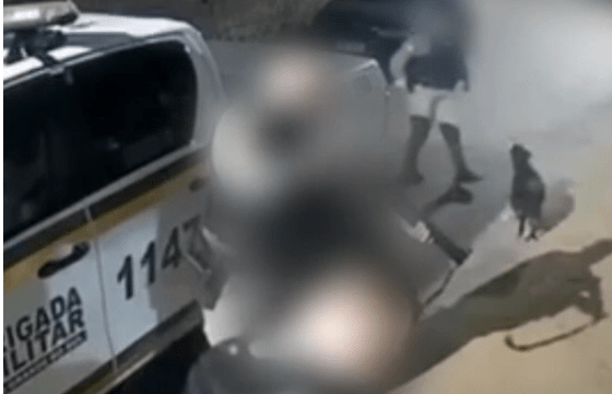 Cão comunitário é baleado por policial durante operação no RS