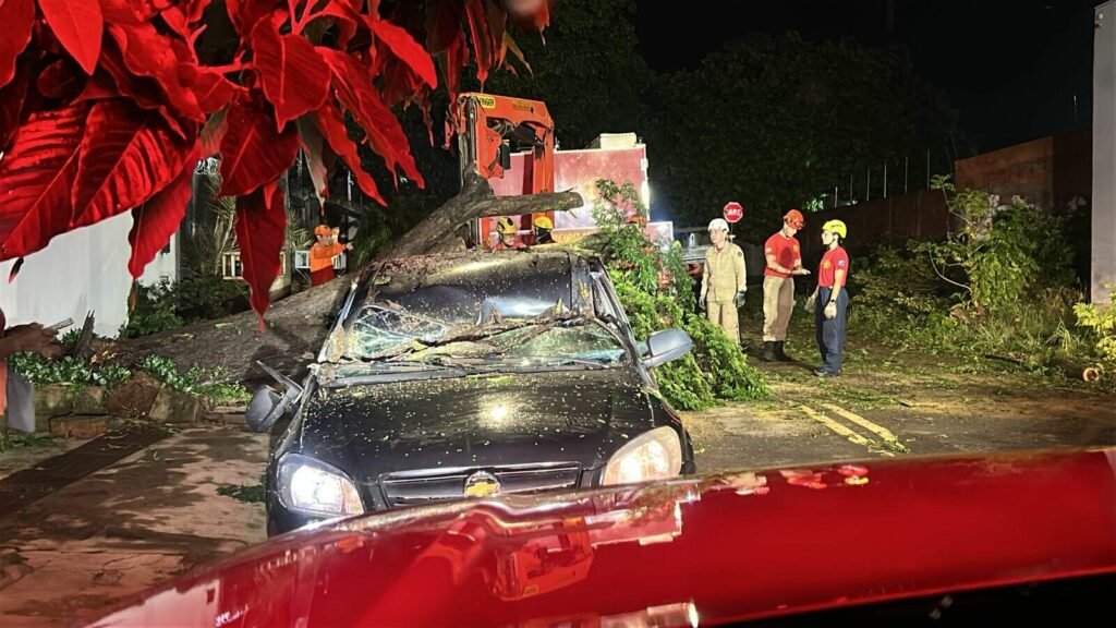 Árvore cai sobre carro durante chuva em Campo Grande