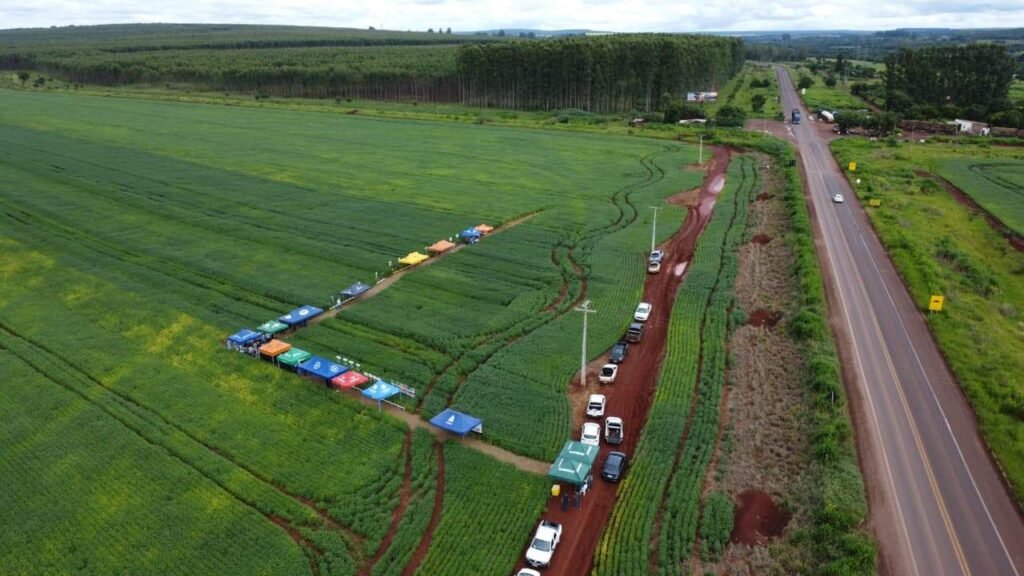 Fazenda realiza dia de campo para apresentar mudanças no cultivo de soja em área antes