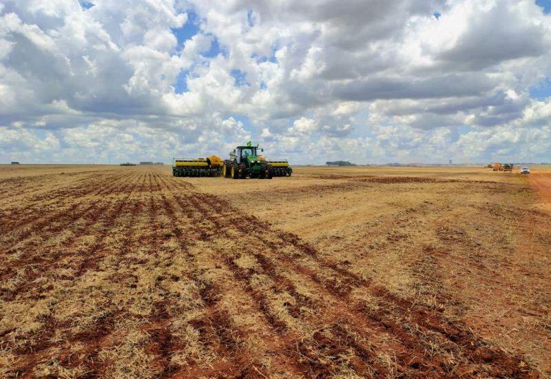 Previsão de chuvas irregulares e calor intenso alerta produtores em Mato Grosso do Sul