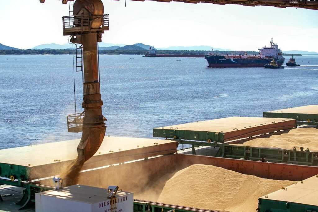 Mato Grosso do Sul registra exportações de US$ 1,43 bilhão e superávit comercial expressivo