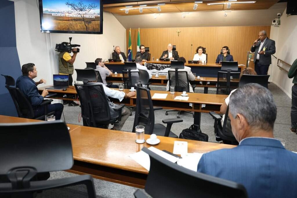 Impactos do eucalipto em nascentes e agricultura preocupam especialistas em Mato Grosso do Sul