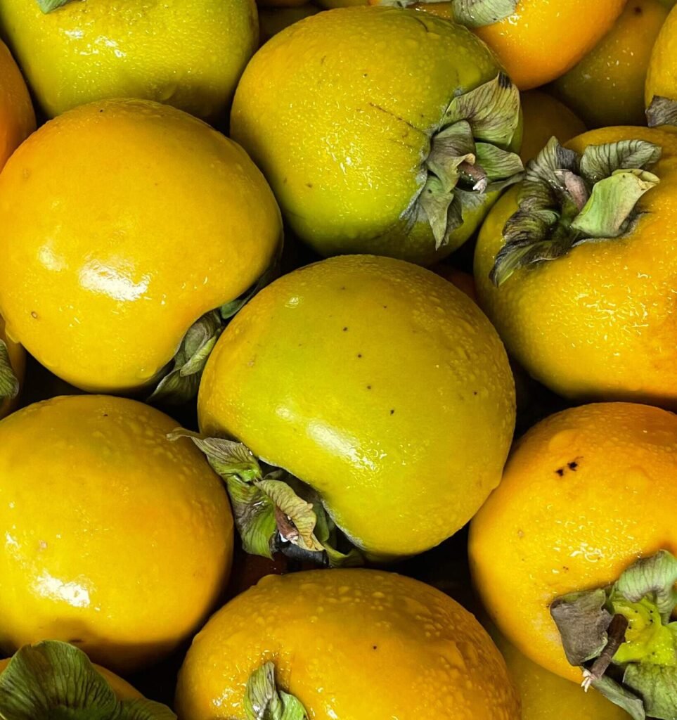 Frutas e hortaliças em alta: Ceasa aponta opções econômicas para o outono