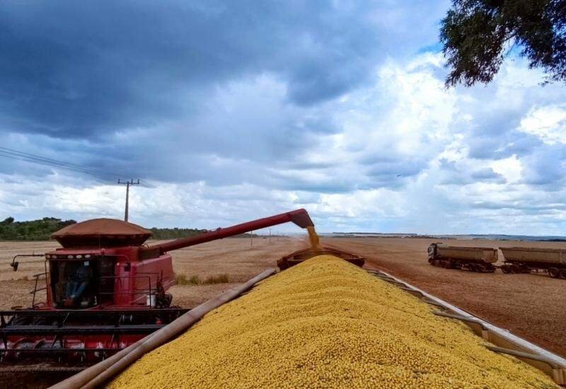 Garantia-Safra: decreto redefine benefícios para agricultores familiares