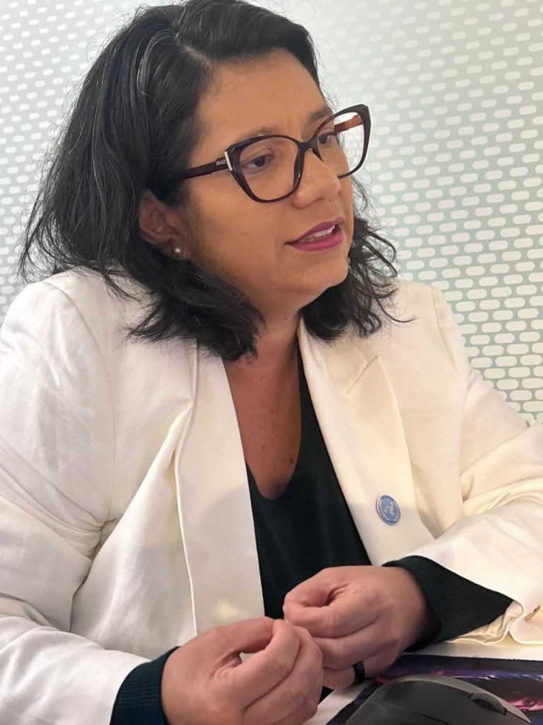 Mato Grosso do Sul apresenta programa Protege na ONU e discute proteção às mulheres