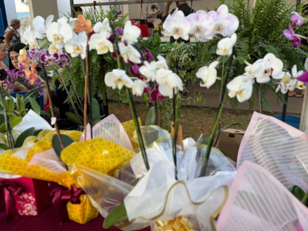 Feira valoriza produção local e incentiva comércio em município