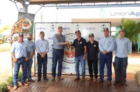 Amendoim é destaque em expansão agroindustrial em Mato Grosso do Sul