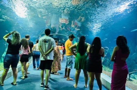 Bioparque Pantanal completa quatro anos com destaque internacional