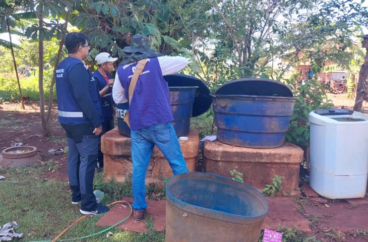 Governo de Mato Grosso do Sul combate chikungunya