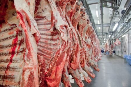 Exportações de carne bovina brasileiras crescem em 2026 com novos mercados