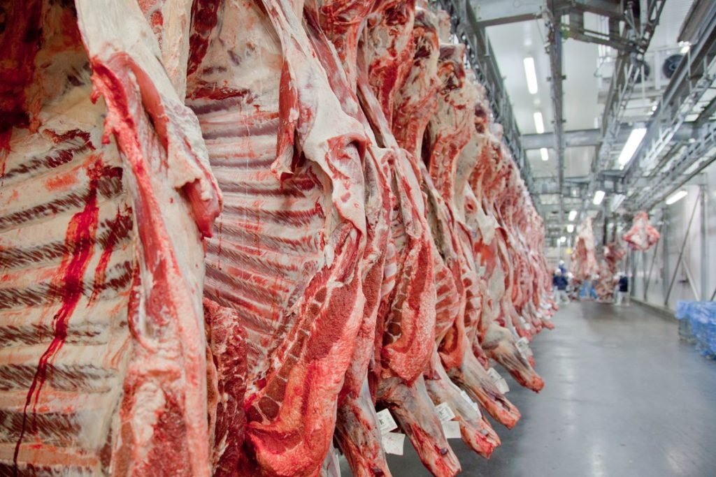 Exportações de carne bovina brasileiras crescem em 2026 com novos mercados