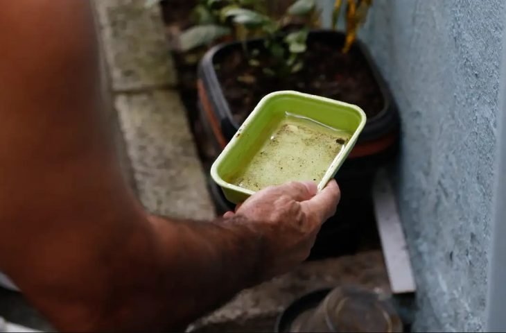 Mato Grosso do Sul será incluído em estratégia nacional para vacinação contra chikungunya