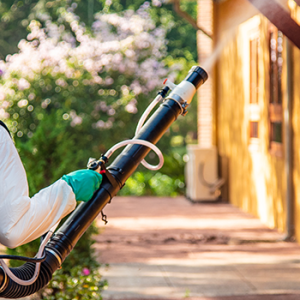 Mato Grosso do Sul entrega 150 bombas costais para combater o Aedes aegypti nos municípios