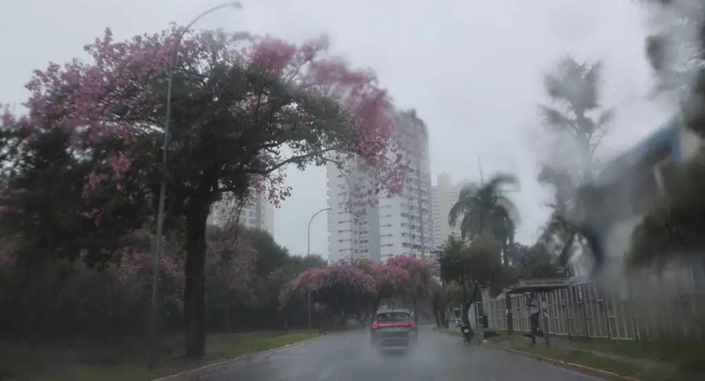Mato Grosso do Sul enfrenta predomínio de ciclone