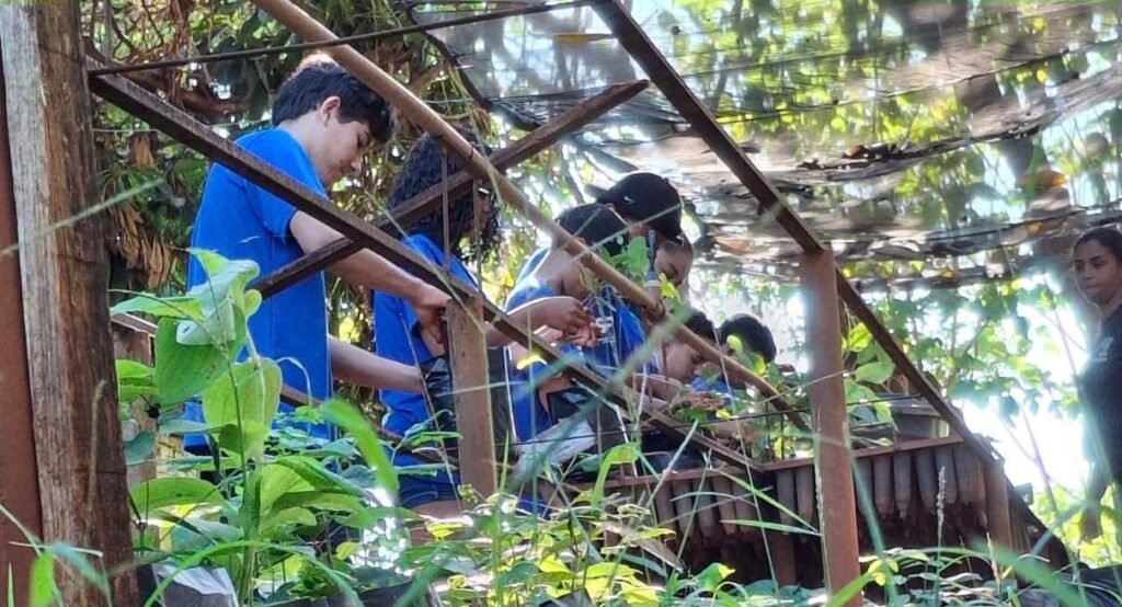 Capacitação em manejo de mudas é realizada em Batayporã por projeto Arboriza Via