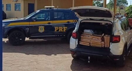 PRF realiza apreensão de quase 400 kg de maconha em Bataguassu após denúncia de odor