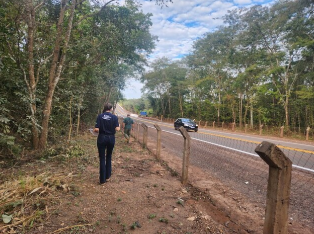 Mato Grosso do Sul investe em medidas para prevenir acidentes com fauna em rodovias