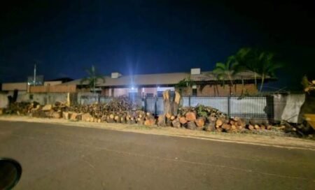 Surpreendente poda de árvores em Vila Bandeirantes