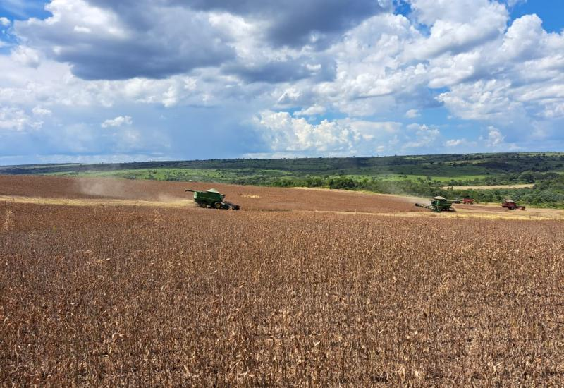 Produtividade da Soja atinge Recorde em Mato Grosso do Sul