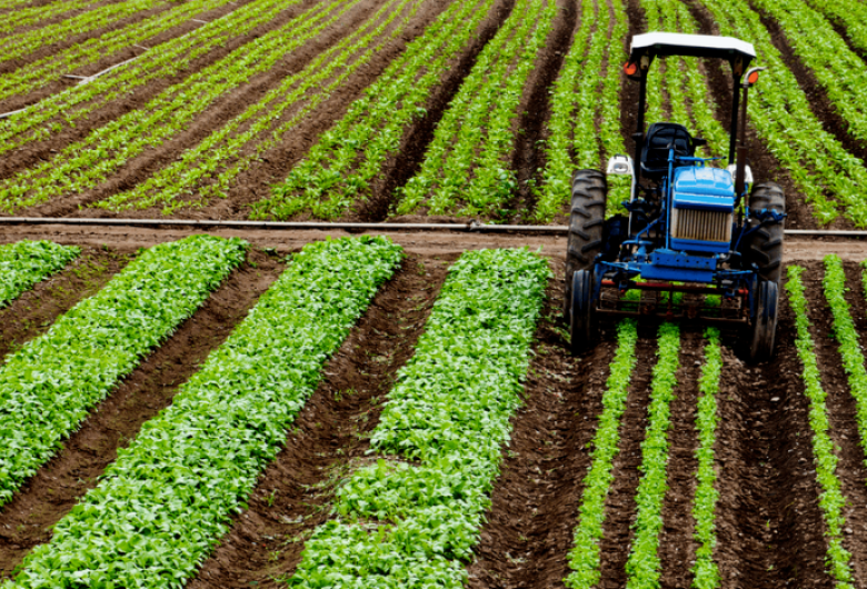 Crédito Rural para safra 2025/2026 chega a R$ 404 bilhões, com crescimento no agronegócio