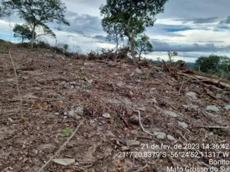Ministério Público investiga desmatamento e irregularidades ambientais em Bonito