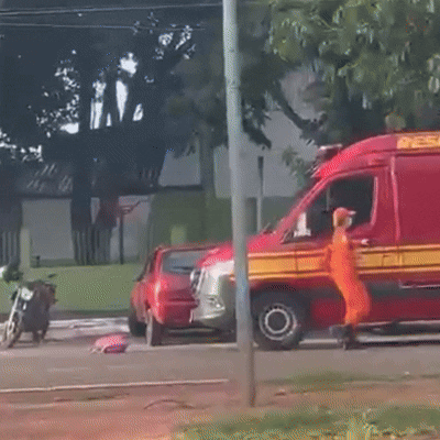 Ataque de abelhas no Coophavila deixa duas pessoas feridas em Campo Grande