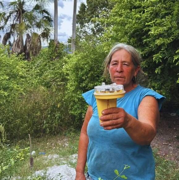 Uso de luz intermitente minimiza conflitos com onças no Pantanal