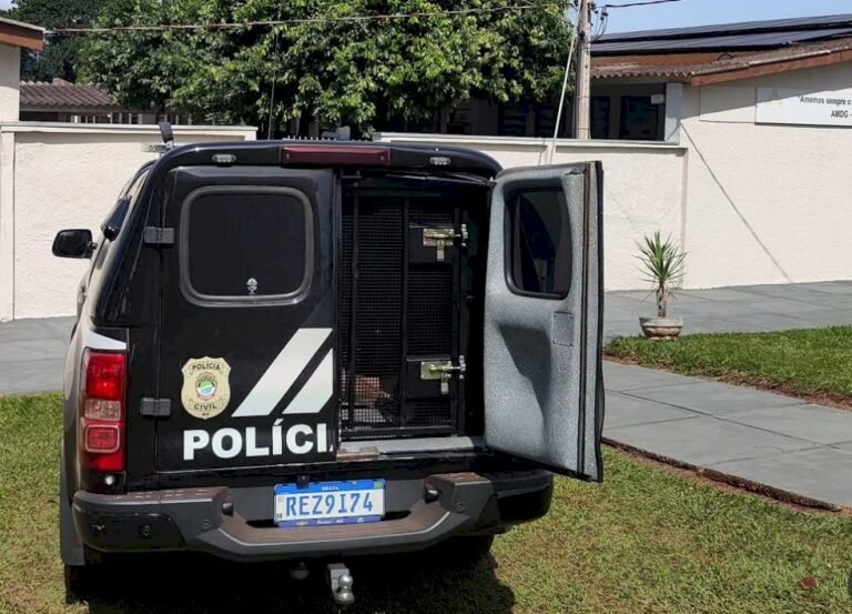 Polícia Civil de Ivinhema prende homem de 65 anos por crime contra criança