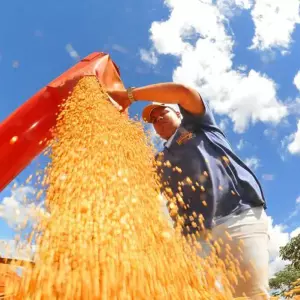 Crescimento da economia brasileira é de 0,6% em fevereiro, aponta Banco Central