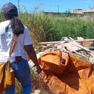 Primeiro ciclo do LIRAa em MS revela risco elevado de arboviroses em diversos municípios