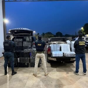 Operação integrada resulta na apreensão de 1,6 tonelada de maconha em Mundo Novo