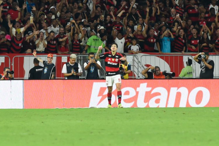 Flamengo supera Santos em casa e garante vitória no Campeonato Brasileiro