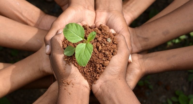 Ivinhema promove ações educativas e premiações durante a Semana do Meio Ambiente