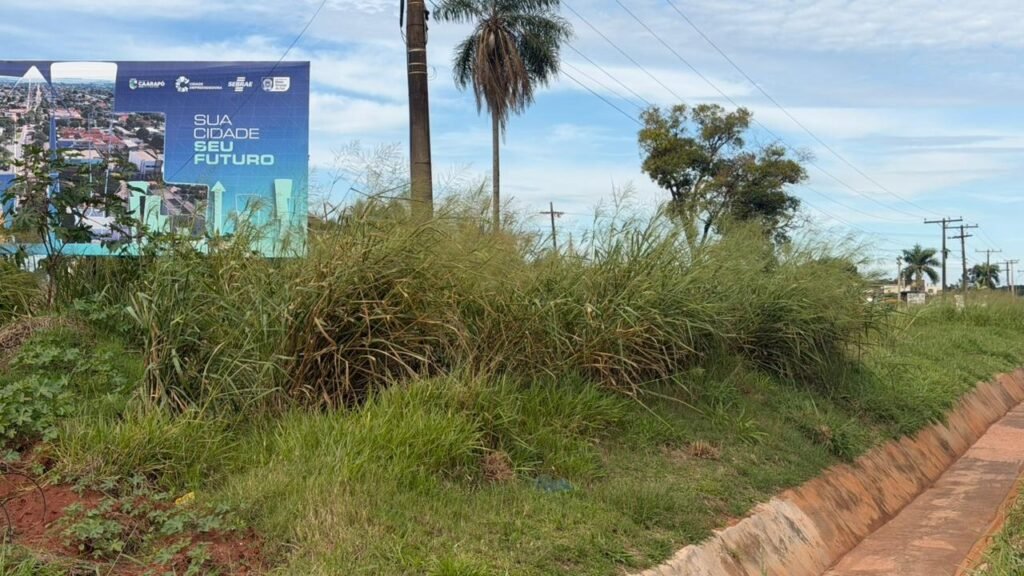 Vereador Nado Tozzi atua na limpeza da entrada de Caarapó após queixas de moradores e