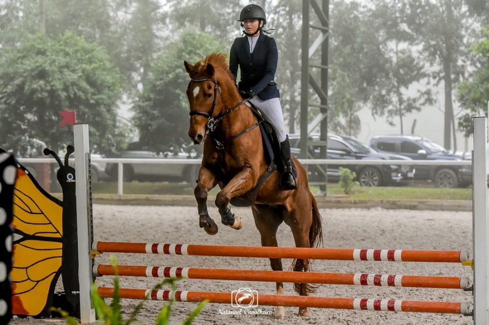 Isabelly Karoline brilha na 3ª etapa do Ranking Estadual de Hipismo em Ponta Porã