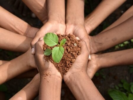 IVINHEMA promove Semana do Meio Ambiente com atividades educativas e premiações