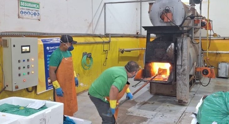 Destruição de medicamentos irregulares marca ação contra o comércio clandestino