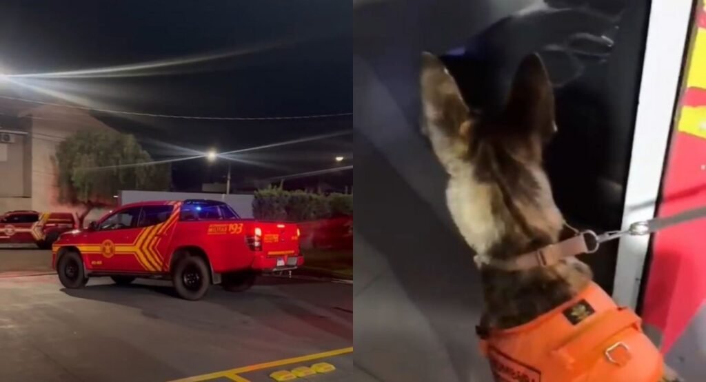 Bombeiros intensificam busca por idoso desaparecido em Batayporã com apoio de cães e drone