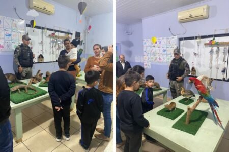 Exposição de Animais Taxidermizados Mobiliza Comunidade Escolar em IVINHEMA
