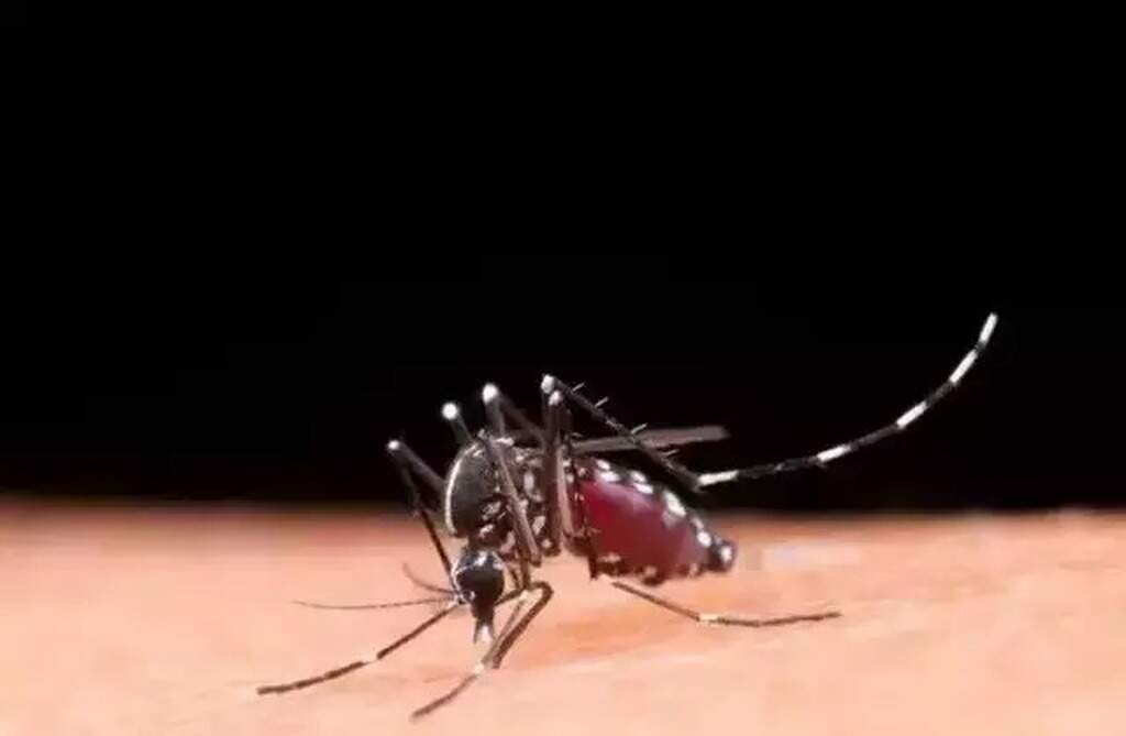Mato Grosso do Sul investiga mortes suspeitas de dengue, mas não registra óbitos em 2026