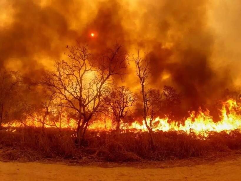 Pecuarista é condenado a prisão por incêndio no Pantanal em 2020