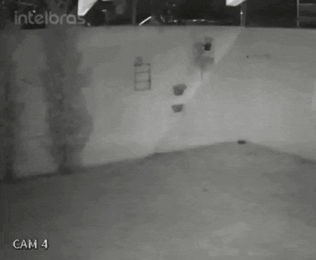 Conflito de Vizinhança: Moradora Relata Três Anos de Perturbações em Campo Grande