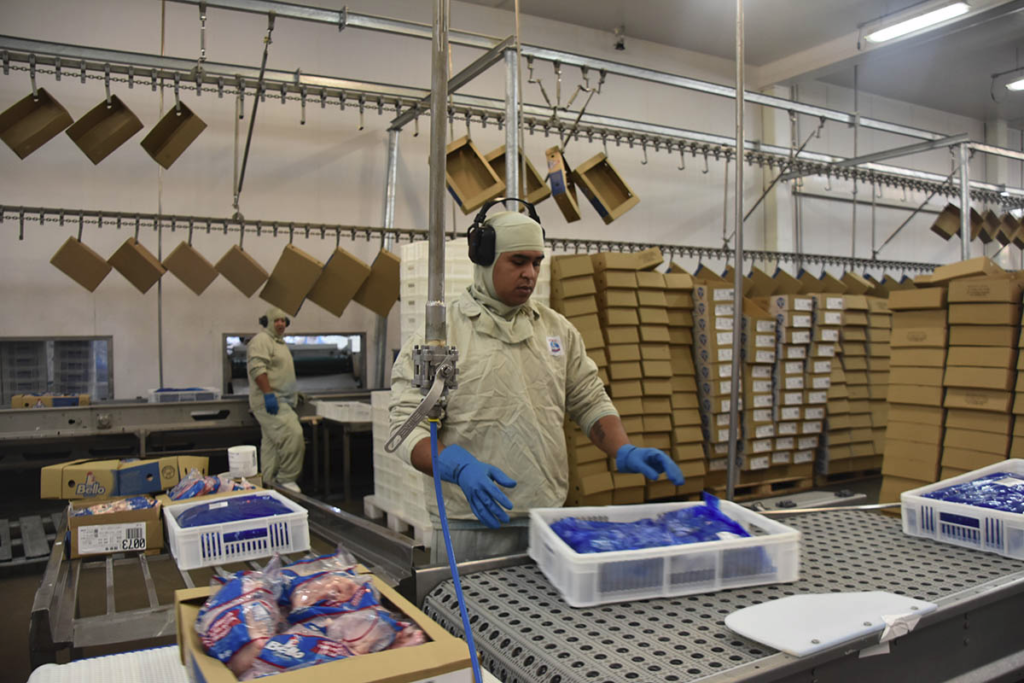 Resultados de exportações industriais em MS alcançam US$ 605,1 milhões em maio