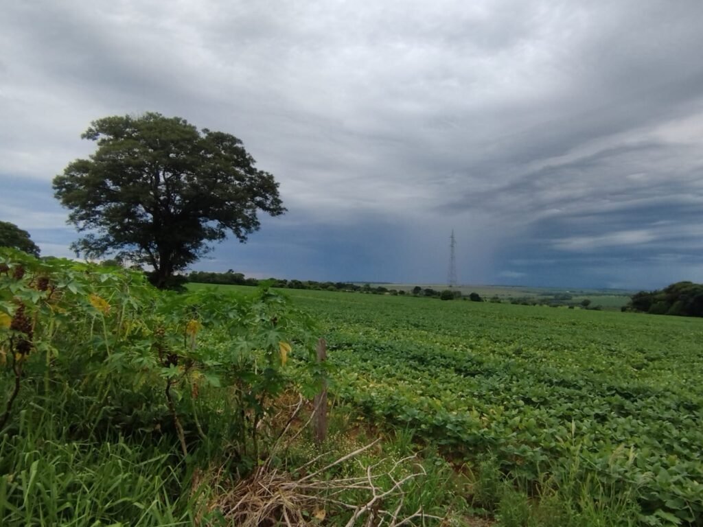 Frentes frias trazem chuvas intensas e queda de temperaturas no Brasil