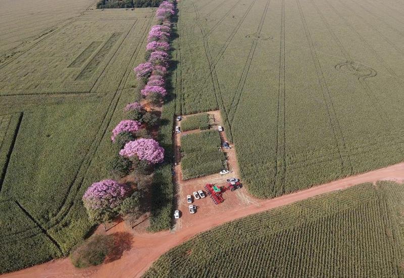 Mudanças na Tributação trazem novos cenários para a soja e o milho em MS