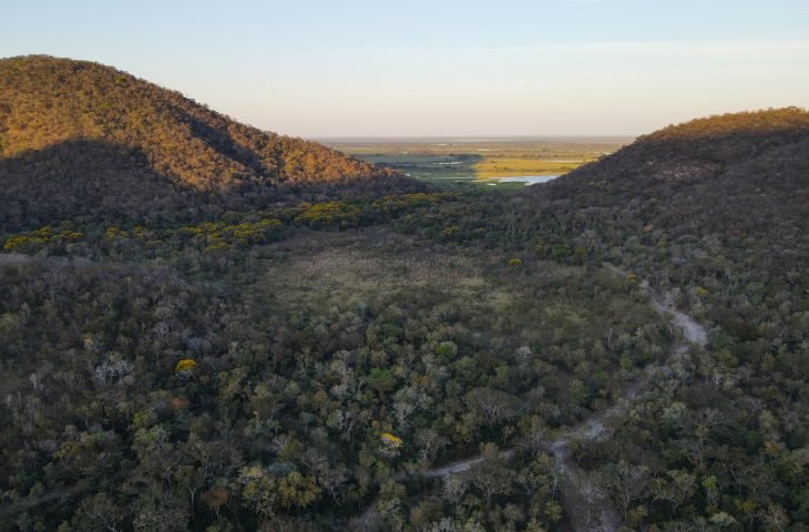 Governo do Estado de MS promove ações sustentáveis para a conservação do Pantanal