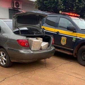 Apreensão de maconha e recuperação de veículo marcam ações da PRF em MS