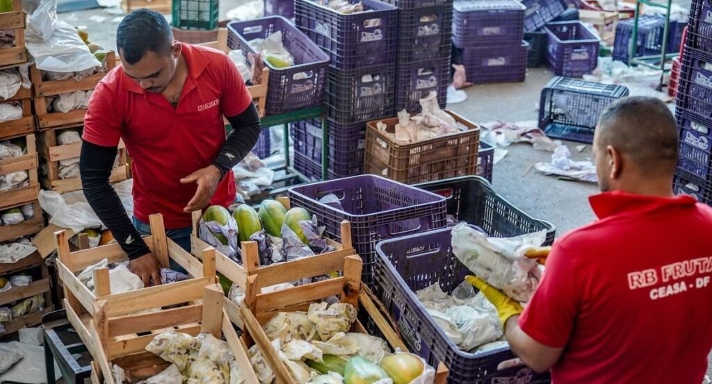 Governo libera R$ 97,3 bilhões para apoiar agricultores familiares
