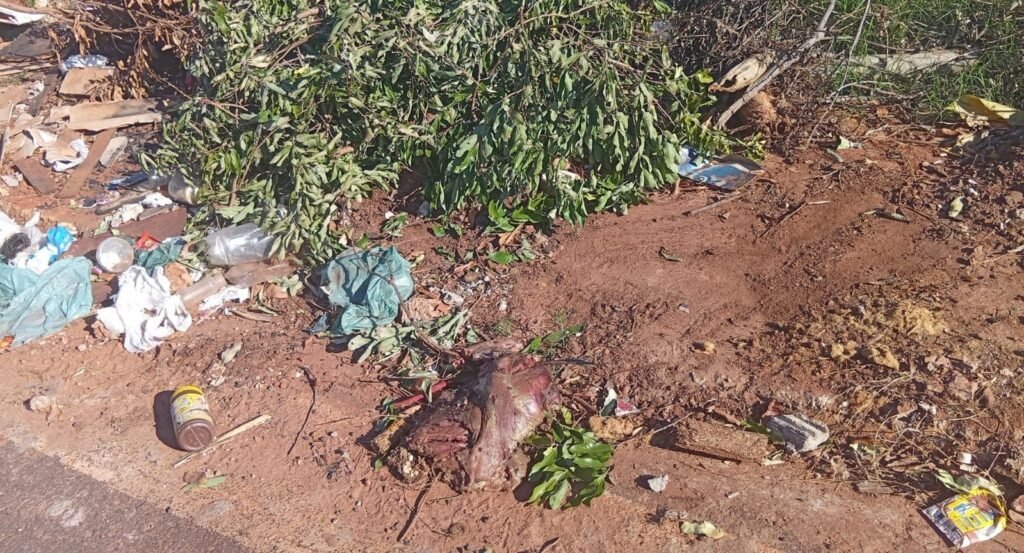 Descarte irregular de lixo e animais mortos preocupa moradores em Nova Andradina